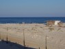 Chevalier sur la plage 100_0126.JPG