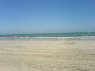 Plage de l'Hôtel Meninx: vue de la mer (beau-frère et neveu) DSC00246.JPG
