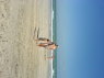 Plage de l'Hôtel Meninx: vue de la mer (beau-frère et neveu, visibles) DSC00247.JPG